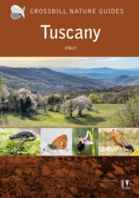 Tuscany : Italy Paperback / softback