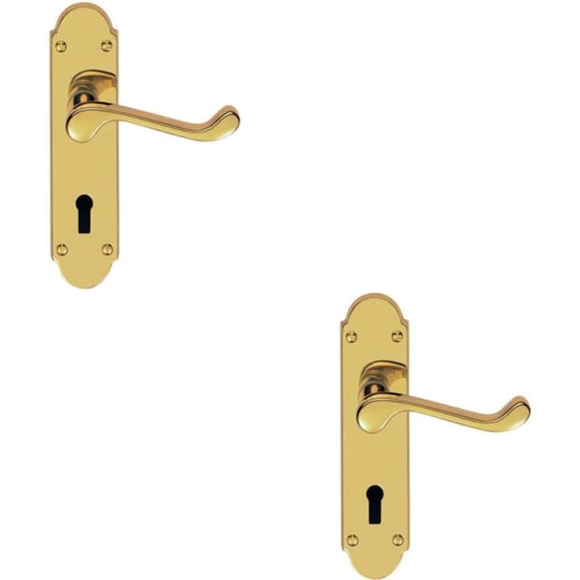 Loops 2x PAIR Victorian Upturned Handle on Lock Backplate 170 x 42mm Polished Brass Metallics