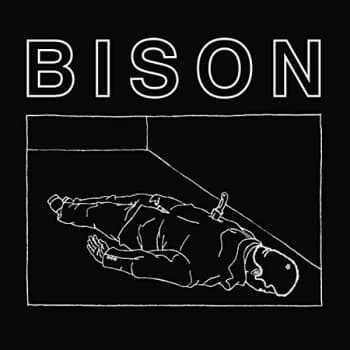 Bison - One Thousand Needles CD