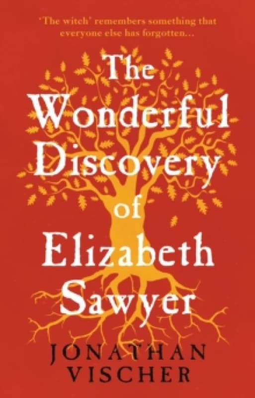 The Wonderful Discovery of Elizabeth Sawyer Paperback / softback