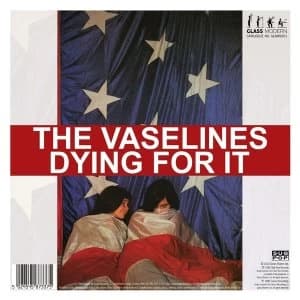 The Vaselines, The Pooh Sticks - Dying For It Vinyl