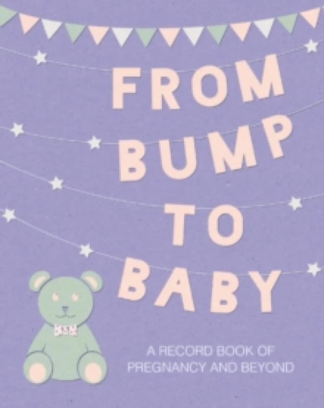 From Bump to Baby : A Record Book of Pregnancy and Beyond Hardback