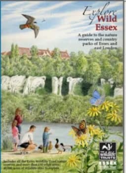 Explore Wild Essex by Tony Gunton and Tony Gunton and England Essex Wildlife Trust Paperback