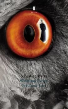 Whistling Psyche by Sebastian Barry Paperback