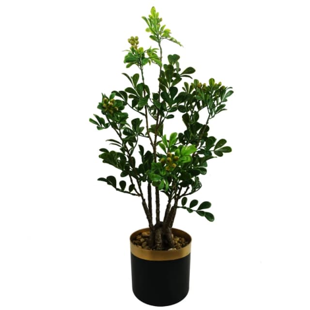 N/A 60cm Artificial Aglaia Odorata Bonsai Ficus Tree