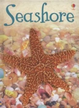 Seashore by Lucy Beckett-Bowman and Patrizia Donaera and Tim Haggerty and Andy Horton and Alison Kelly Hardback