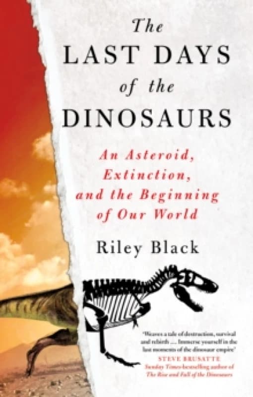 The Last Days of the Dinosaurs : An Asteroid, Extinction and the Beginning of Our World Paperback / softback