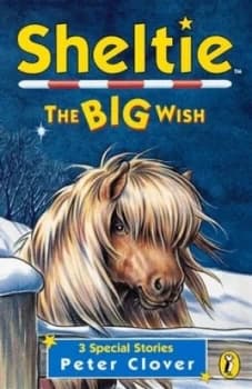 The Big Wish by Peter Clover Book