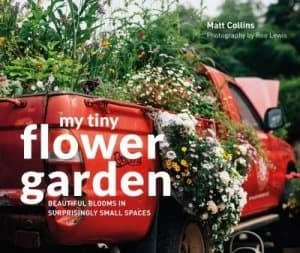 My tiny flower garden by Matt Collins