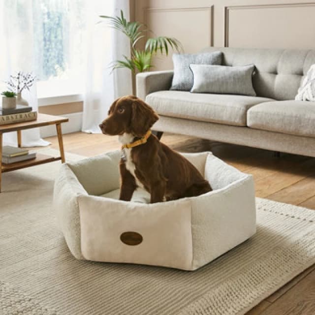 Silentnight Deep Sleep Donut Boucle Pet Bed - Small - Natural - Large One Colour WFA02 Unisex