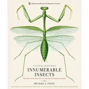 Innumerable Insects The Story of the Most Diverse and Myriad Animals on Earth Hardback 2018