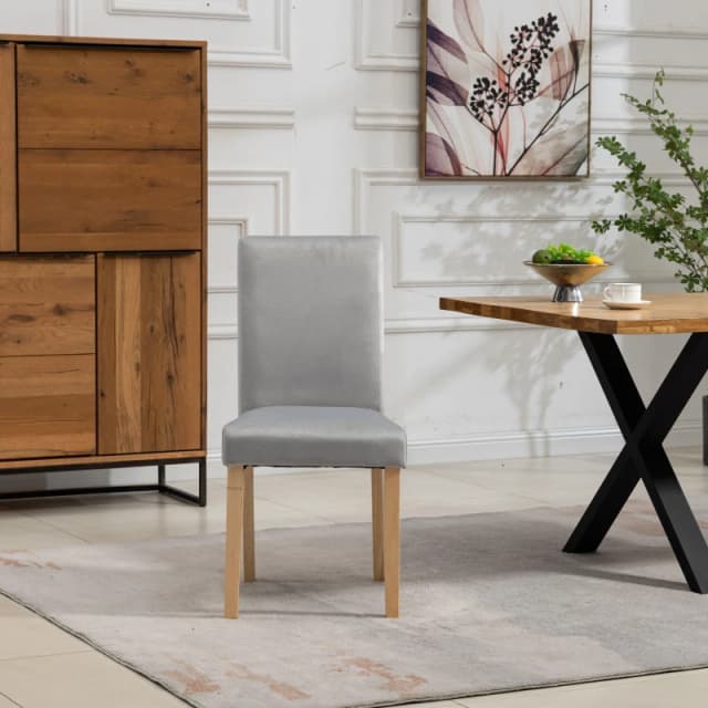 Artemis Home Maiolo Velvet Dining Chairs - Set of 2 in Silver Silver Unisex