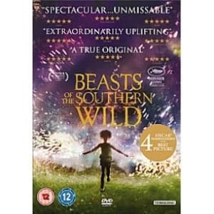 Beasts Of The Southern Wild Region 2 DVD