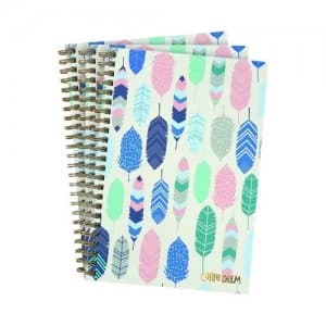 Pukka Feathers Hardback Notebook B5 Blue Pack of 3 9379-CD