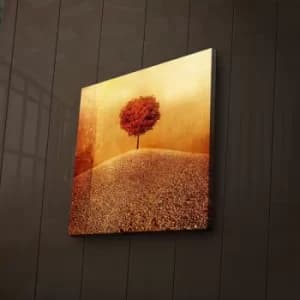 2828?ACT-29 Multicolor Decorative LED Lighted Canvas Painting