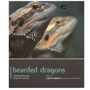 Bearded Dragon - Pet Expert by Lance Jepson Paperback