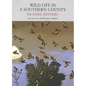 Wild Life in a Southern County by Richard Jefferies (Paperback, 2011)