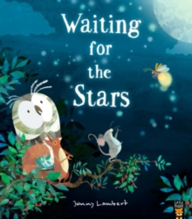 Waiting for the Stars Paperback / softback