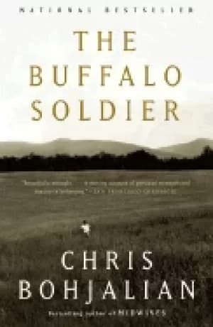 buffalo soldier a novel