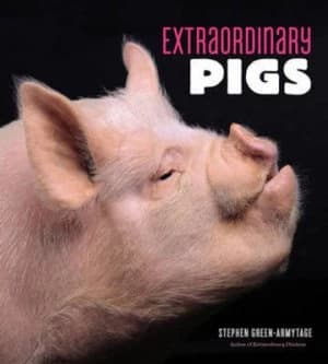 Extraordinary Pigs by Stephen Green-Armytage Hardback