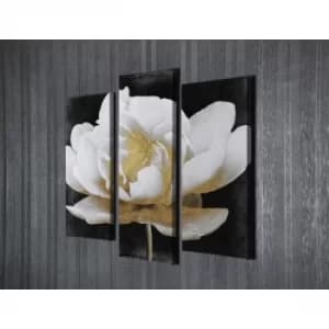 UC76 Multicolor Decorative Canvas Painting (3 Pieces)