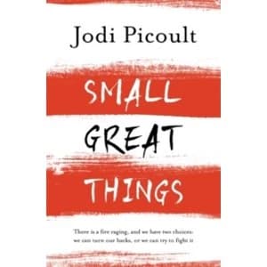 Small Great Things : 'to Kill a Mockingbird for the 21st Century'