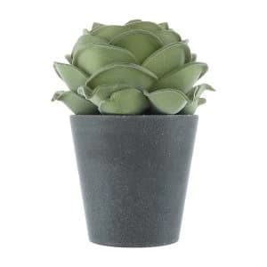 The Flower Patch Rose Green in Grey Pot 19.5cm