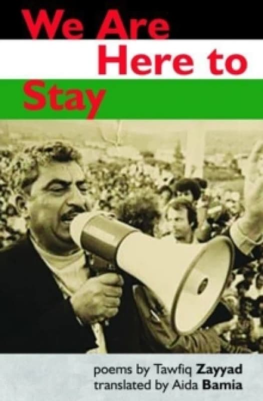 We Are Here to Stay Paperback / softback