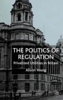 The Politics of Regulation by A. Young Hardback