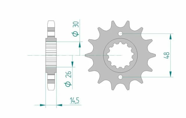 AFAM 20602-17 Chain Pinion Steel Chain Pinion (5480)