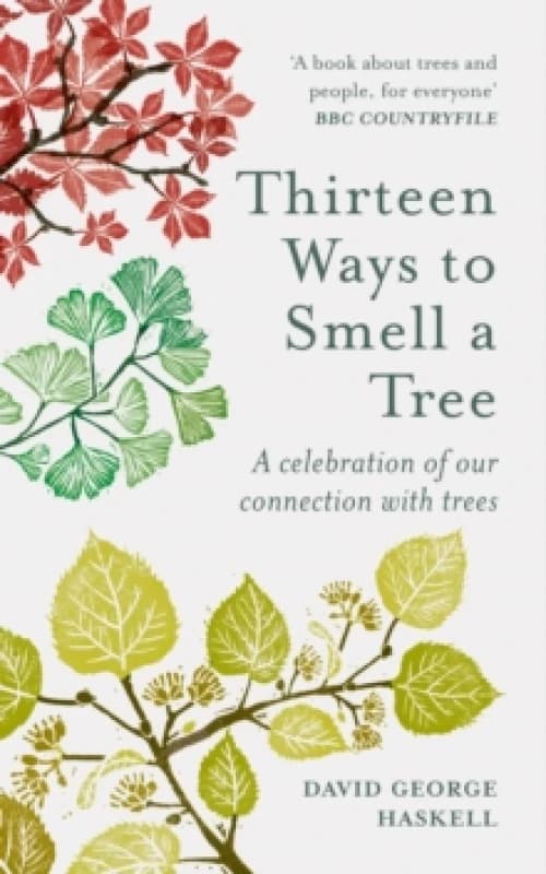 Thirteen Ways to Smell a Tree : A celebration of our connection with trees Paperback / softback