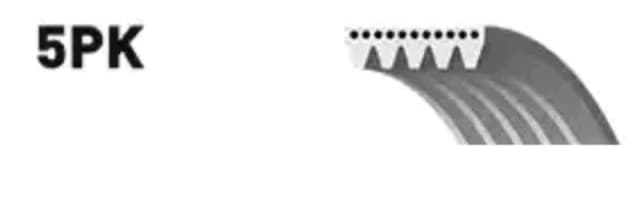 GATES V-ribbed belt 5PK1023 Serpentine belt,Auxiliary belt OPEL,BMW,FORD,GT Roadster (M07),X5 (E53),Escort VI Cabrio (ALL)