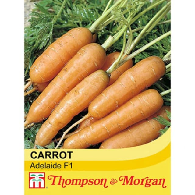 Thompson & Morgan Carrot Adelaide F1 Hybrid 1 Seed Packet (400 Seeds)