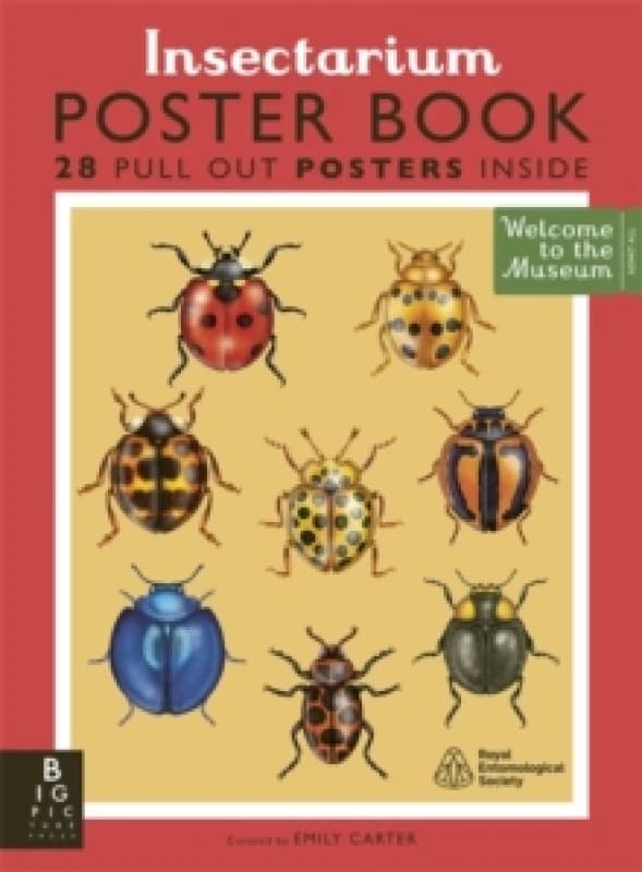 Insectarium Poster Book Paperback / softback