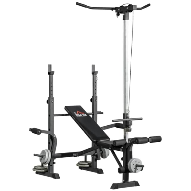 HOMCOM HOMCOM Adjustable Weight Bench Multifunction Full Body Workout Bench in Black One Size Unisex 5063603039889