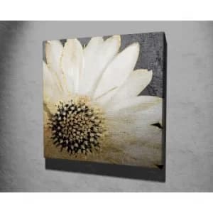 KC165 Multicolor Decorative Canvas Painting