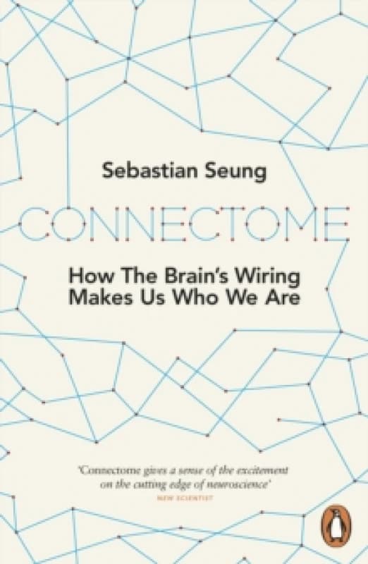 Connectome. Paperback. By Sebastian Seung Books