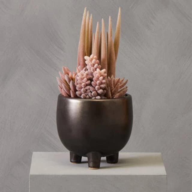 Premier Housewares Fiori Mixed Succulents In Ceramic Pot Grey