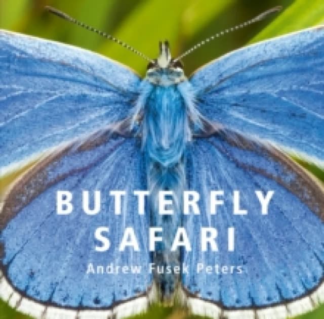 Butterfly Safari Hardback