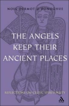 The Angels Keep Their Ancient Places by Noel Dermot Odonoghue Book