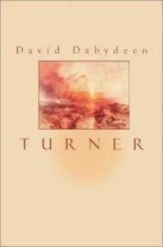 Turner by David Dabydeen Paperback