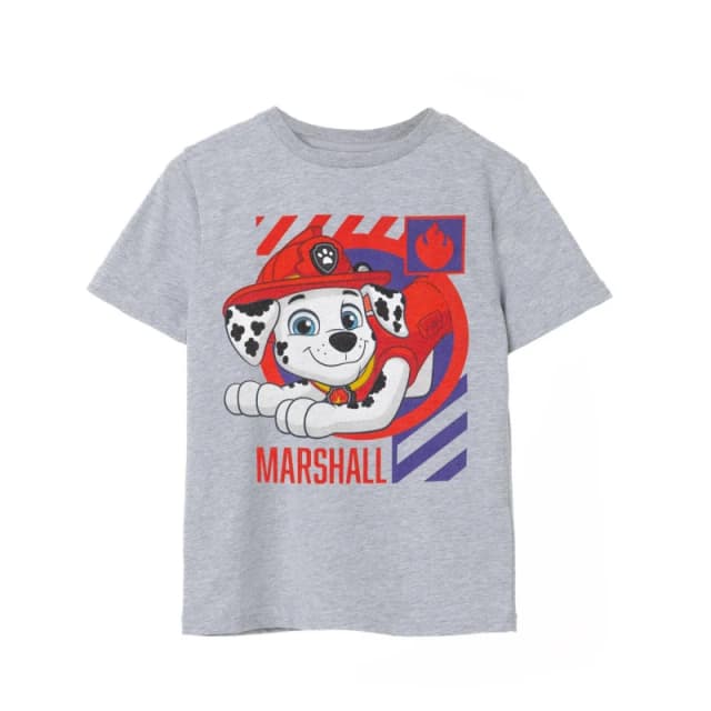 Paw Patrol Short Sleeved T-Shirt Grey male