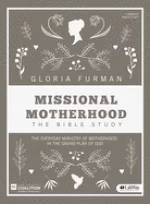 missional motherhood bible study book the everyday ministry of motherhood i