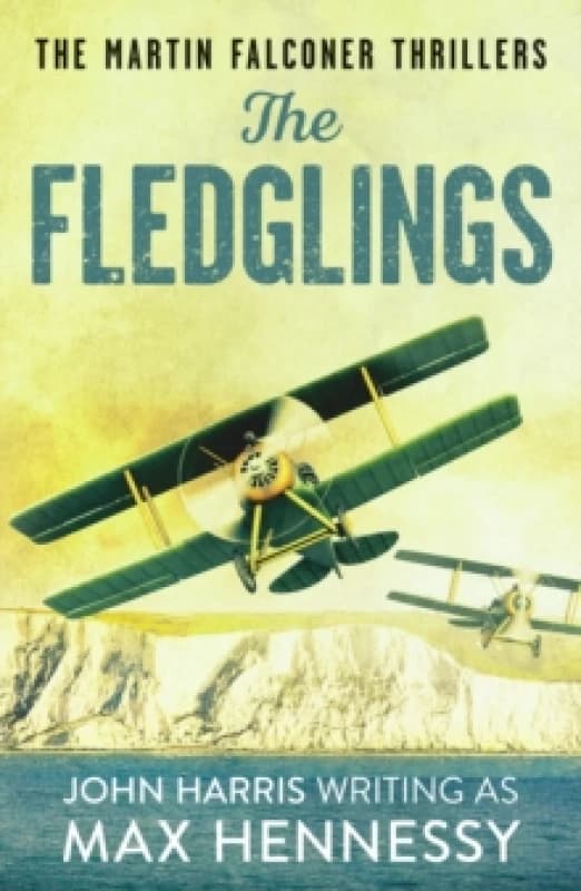 The Fledglings Paperback / softback