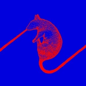 The Dwarfs of East Agouza - Rats Don't Eat Synthesizers Vinyl