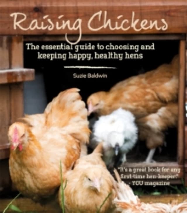Raising Chickens : The Essential Guide to Choosing and Keeping Happy, Healthy Hens Paperback / softback