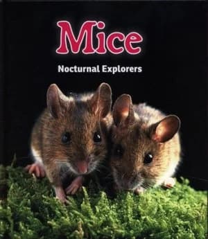 Mice by Rebecca Rissman Hardback