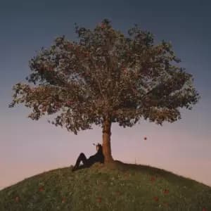 slowthai - Tyron Vinyl