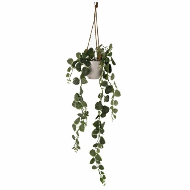 Leaf 90cm Artificial Potted Trailing Hanging Natural Look Plant Realistic - String of Hearts Green unisex