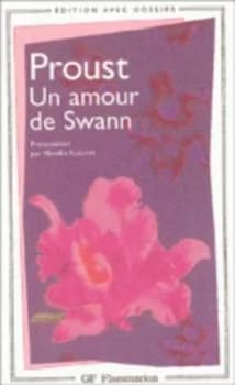 Amour De Swann Paperback